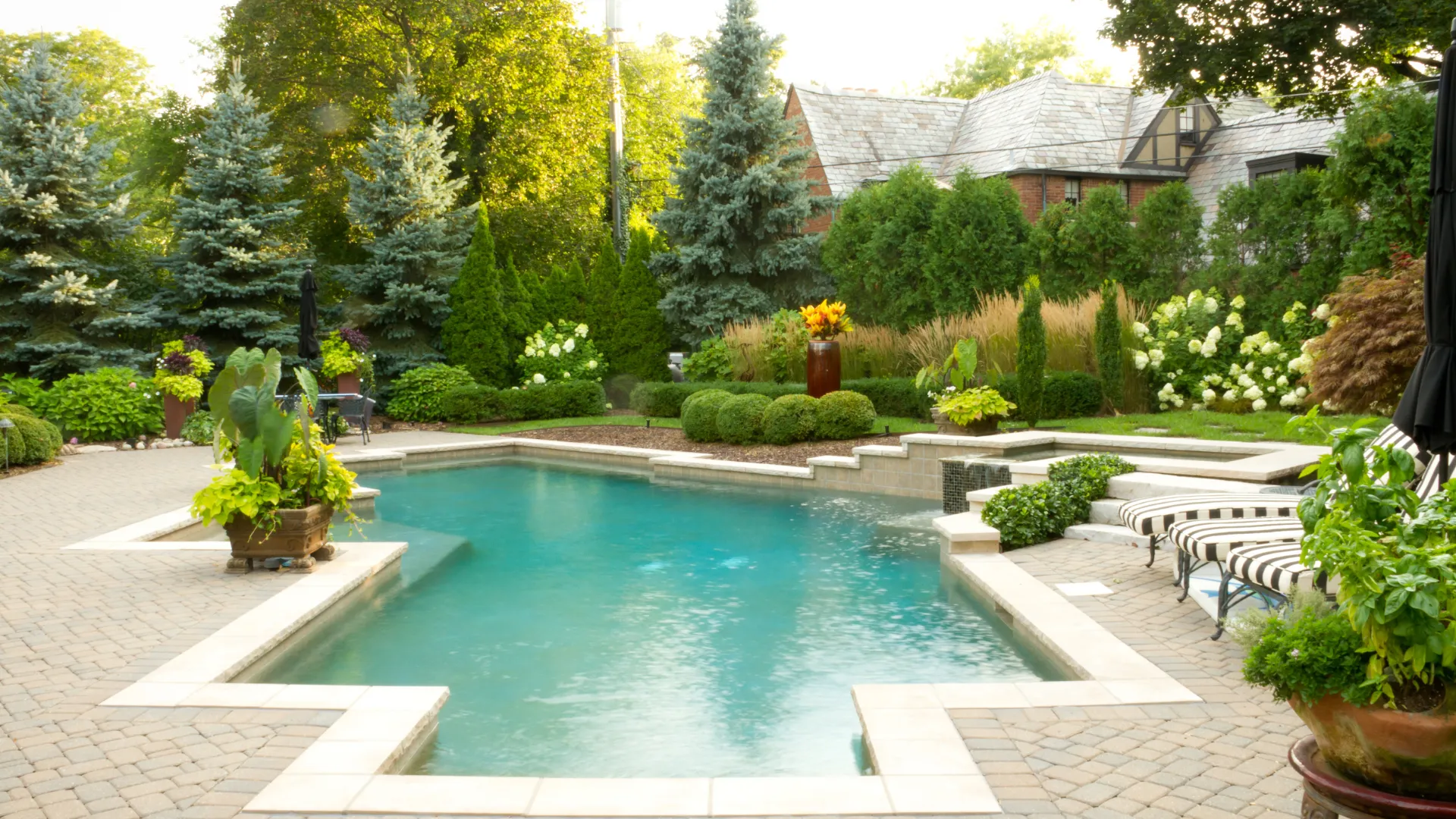 beautiful pool landscaping