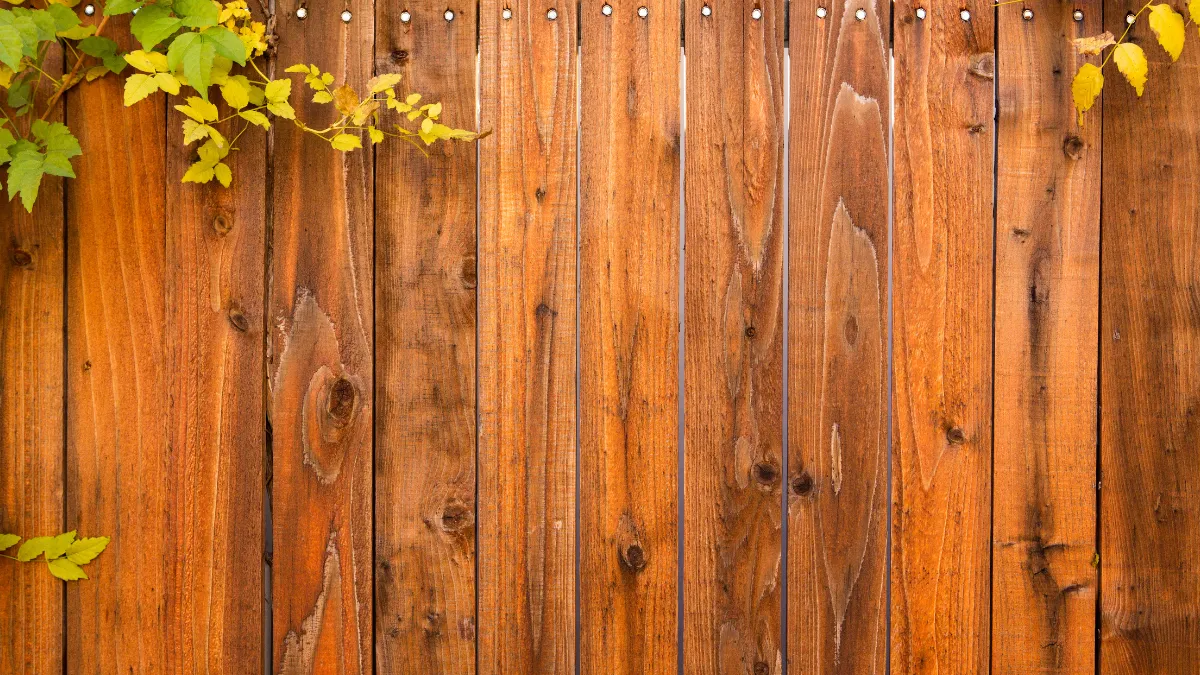 pool fences and barriers toronto 1