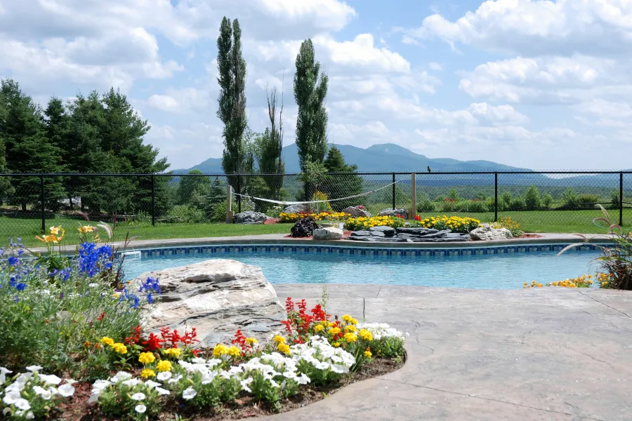 pool landscaping company